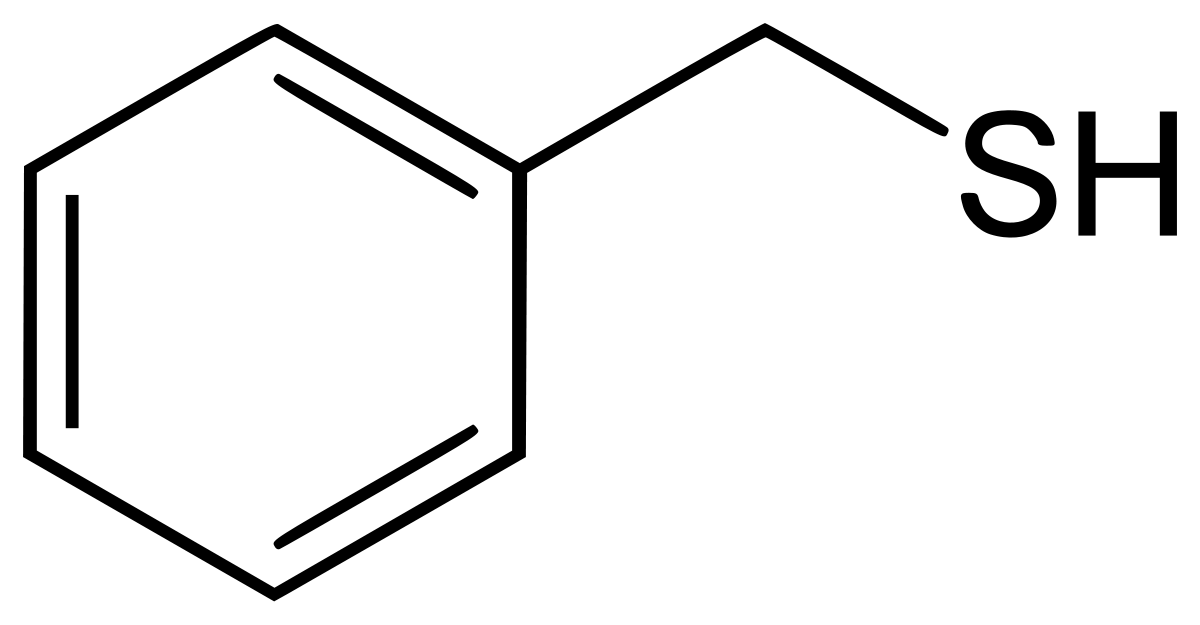 ﻣﺮﻛﺎﭘﺘﺎﻧﻬﺎ